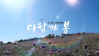 3.1절 기념예배영상(포항제일교회)