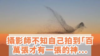 攝影師不知自己拍到「百萬張才有一張的神畫面」回到家中大驚發覺。。。