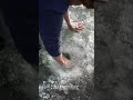 catching fish through ice holes.