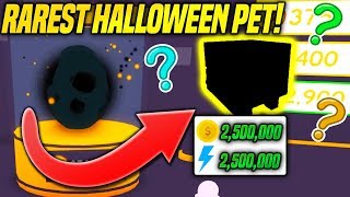 New I Got 10 Of The Rarest Robux Hats In Pet Simulator - 