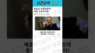 몽골의 반중감정이 어떤 수준이냐면