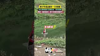 網友：這能忍？抽乾必須抽乾！Netizen: Can this be tolerated? Drain must be drained!#china #熱門 #生活 #万万想不到 #锦鲤