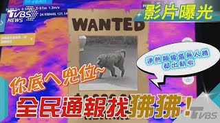 你底ㄟ兜位~全民通報找狒狒! 桃園出動「熱顯像儀無人機」｜TVBS新聞@TVBSNEWS01