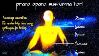PRANA APANA SUSHUMNA HARI || MAGICAL HEALING MANTRA || MEDITATION CHANT
