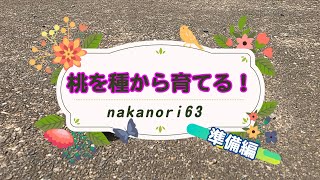 【nakanori63】桃を種から育てる！準備編