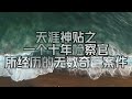 保护好你的孩子们 天涯论坛神贴之一个十年检察官所经历的无数奇葩案件 有声书 听书