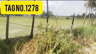 லால்குடி வயல்,low budget,cheapest farmland with free Eb,farmhouse, good water source land in lalgudi