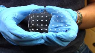 Miniature lab can diagnose disease in the field - by Nature Video