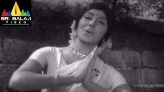 Jeevitha Chakram Telugu Movie Part 3/15 | NTR, Vanisri, Sharada | Sri Balaji Video