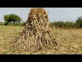 village life bhoi gar punjab with subtitles hassan abdal city hasan abdal pakistan