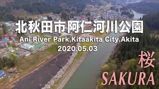 2020.5　『阿仁河川公園　桜』　Cherry blossoms ＆ Ani river park(north latitude 40 time country park )