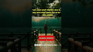 শামস তাবরিজী রহঃ এর উক্তি🚩Sazidur Rahman Abir🚩#youtubeshorts#trending  #whatsappstatus#virul #news