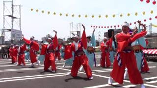 よさこい列伝・爽郷やまもと連（銭形よさこい・やぐら会場）【香川県観音寺市】（平成29年・2017）