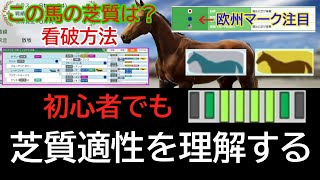 【ウイニングポスト10】『芝質適性の計算』を簡単に理解する方法【種付け検証】初心者が覚えておきたい事〖芝質適性作成〗