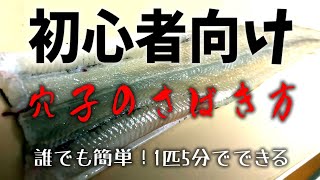 【超簡単1匹5分】初心者向け釣ったアナゴ(ハモ)のさばき方（開き方・熱湯ぬめり落とし）八戸/青森/岩手/太平洋側