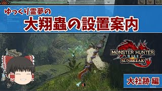 【モンハンライズ】ゆっくり霊夢の大翔蟲の設置案内　大社跡編【ゆっくり】