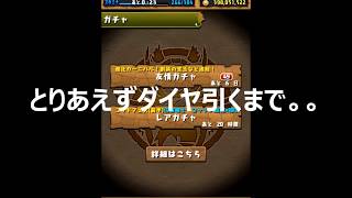 【パズドラ】パズドラレーダー500万DL突破記念イベントゴッドフェスでダイヤタマゴ出るまで引いてみた