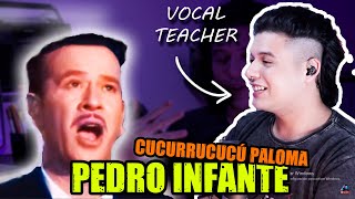 PEDRO INFANTE Cucurrucucú Ploma | Analysis / Reaction | voice coach