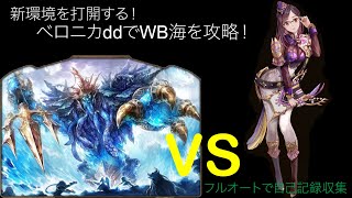 【キンスレ】新環境に打ち勝つ！ddベロニカでWB海を攻略！【キングスレイド】