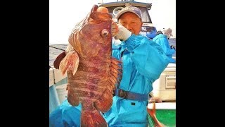 132慶良間船釣りKYOEIⅢ[カンナギ15ｋｇ/アカマチ10ｋｇ/]山内さま御一行♪