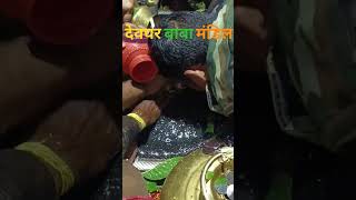 #deoghar#deogharbabamandir#mahakumbh2025#pryagraj#kumbhmelaprayagraj#shortvideo#trending#viralvideo