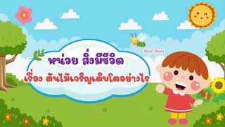 สื่อการสอนออนไลน์ หน่วย สิ่งมีชีวิต เรื่อง ต้นไม้เจริญเติบโตอย่างไร