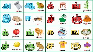 உயிர் மெய் எழுத்துக்கள் | Uyir Mei Ezhuthukal | Mei Eluthukkal | Learn Tamil Alphabets @sskidstube