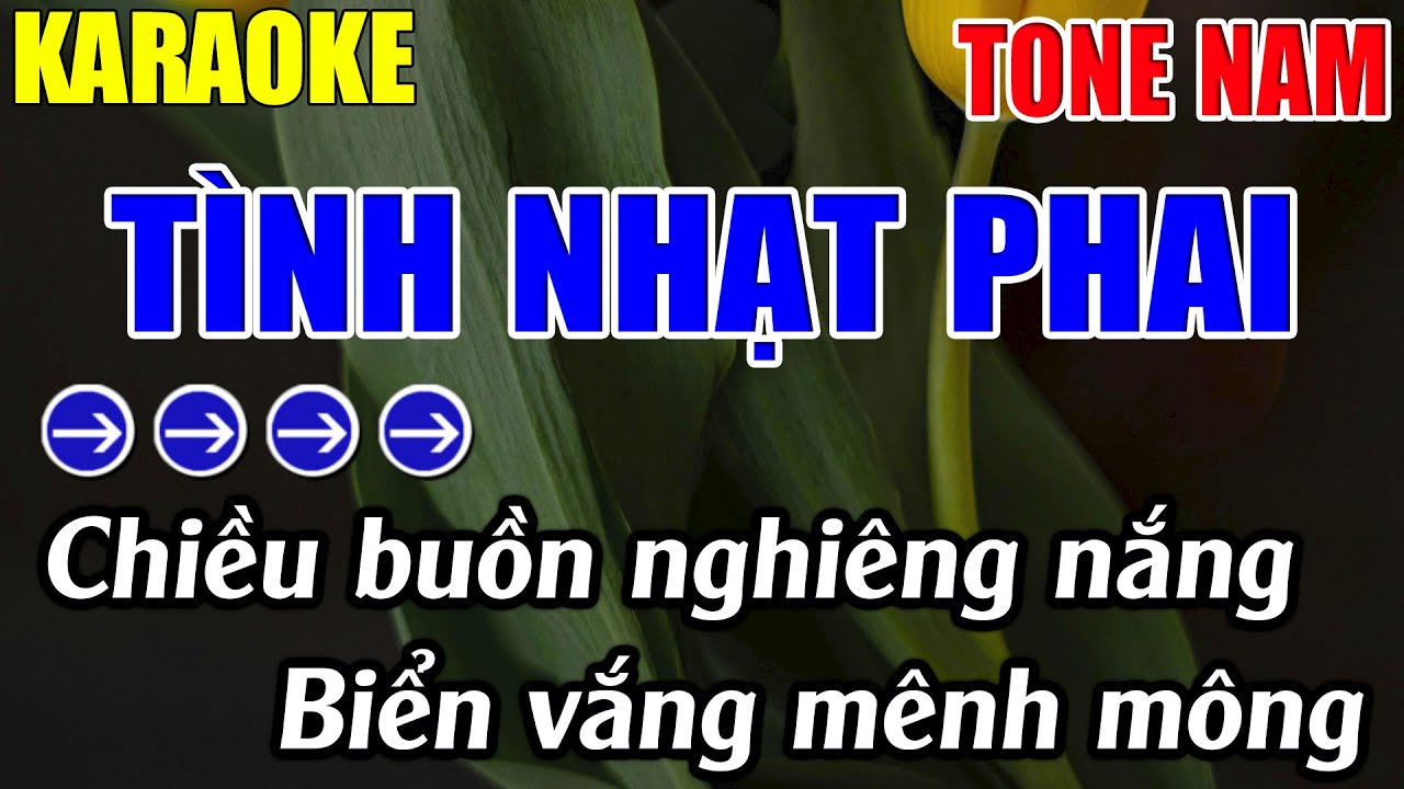 Tã Nh Nháº T Phai Karaoke Tone Nam Karaoke Lã M Nháº C Sá Ng Beat Má I