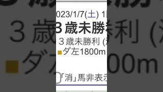 【競馬予想／次走の本命馬／自信度B】2023年1月7日（土）中京1レース◎ホッコーソムニウム「前走勝負所で外に振られる不利がありました」単勝2000円複勝4000円で勝負！#競馬 #競馬予想