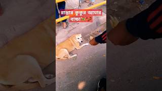 রাস্তার কুকুর আমার বাচ্চাStreet dogs are my children.#shots