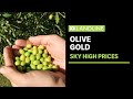 The skyrocketing price of olive oil | Landline | ABC News