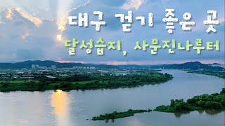 낙동강에 이렇게 걷기 좋은 길이! / 달성습지생태학습관~달성습지~사문진나루터~화원동산 [대구 03]