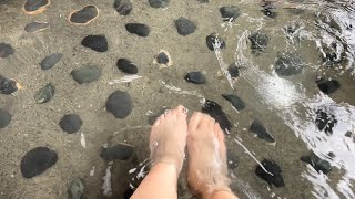 道の駅 すばしり/静岡 富士山に一番近い道の駅！足湯や地元の新鮮野菜、お土産品、富士山が見えるレストランも！