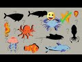 guess the shadow of the sea animals quiz shadow game learning video for kids family funtime