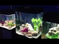 have you seen the aqua one aquarium range