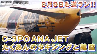 【伊丹空港】またまた逆ラン発生!! ANA たくあんのタキシングと離陸 2023.8.9