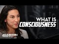 Annaka Harris On Consciousness | Rich Roll Podcast