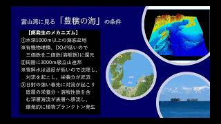 コンクリート海岸構造物から流出する成分が藻場に及ぼす影響鍵谷 司（環境計画センター）