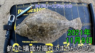 山口県でヒラメ釣り　2021年11月9、10日