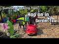 Garden Tour New Setups, TIPS, Growing Tomatoes Peppers Cucumber Kale Collard Watermelon Herbs