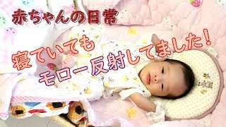 【生後１ヵ月】赤ちゃんのモロー反射！今しか見れない赤ちゃん特有の反射♪【Vlog】Baby had a morrow reflection