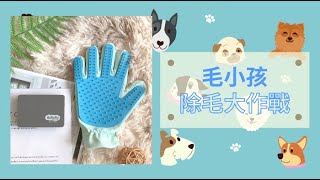 🐶🐱寵物的毛毛滿天飛? 快場除毛大作戰吧!! 【T-FENCE 防御工事~寵物梳毛手套+寵物除毛磚】