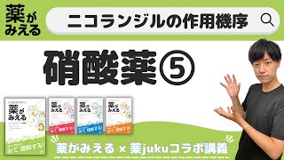 【特徴的な機序を持つ！？】ニコランジルの作用機序を解説