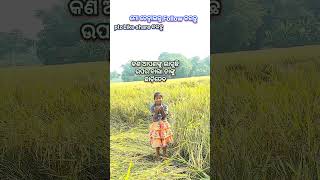 ସବୁ ହିସାବ #odia #trending #new #short