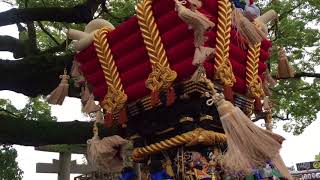 平成29年度 百舌鳥八幡宮月見祭り 中百舌鳥町 宮入