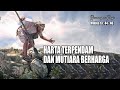 HARTA TERPENDAM DAN MUTIARA BERHARGA - RENUNGAN PAGI - MATIUS 13 : 44 - 46