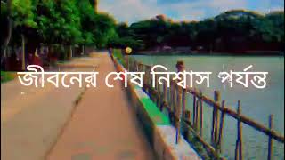 #।।।🥰🥰🥰আজ 11 ফেব্রুয়ারি যদি প্রমিস ডে হয় তাহলে আমি 🥰🥰🥰।।।Bangla status video।।।।#