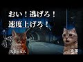 音信不通らしい友人の先輩の怖い話　 猫ミーム ホラー 心霊