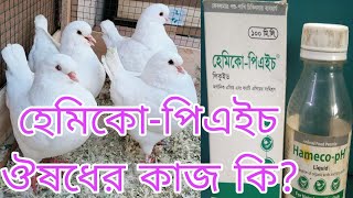 হেমিকো-পিএইচ ঔষধ কবুতর কে কোন রোগের জন্য খাওয়াবেন/সালমোনেলা হলে হেমিকো-পিএইচ সাথে কোন ঔষধ দিতে হয়।