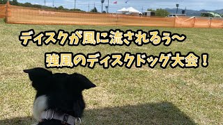 【猟師んちの５頭のボーダーコリー 】強風のディスクドッグ大会でお土産ゲット‼️【犬たちのポテンシャルに助けられた】